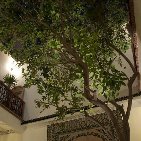 Riad Granvilier-3